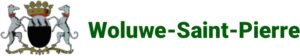 logo-wsp-fr