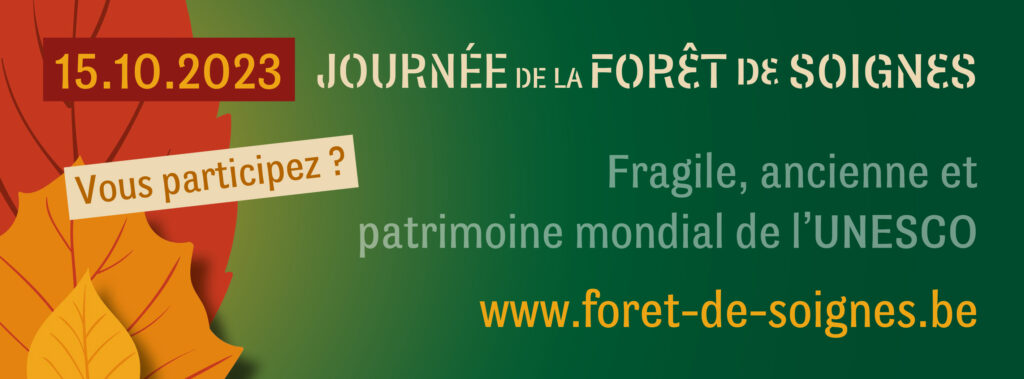 La Forêt de Soignes